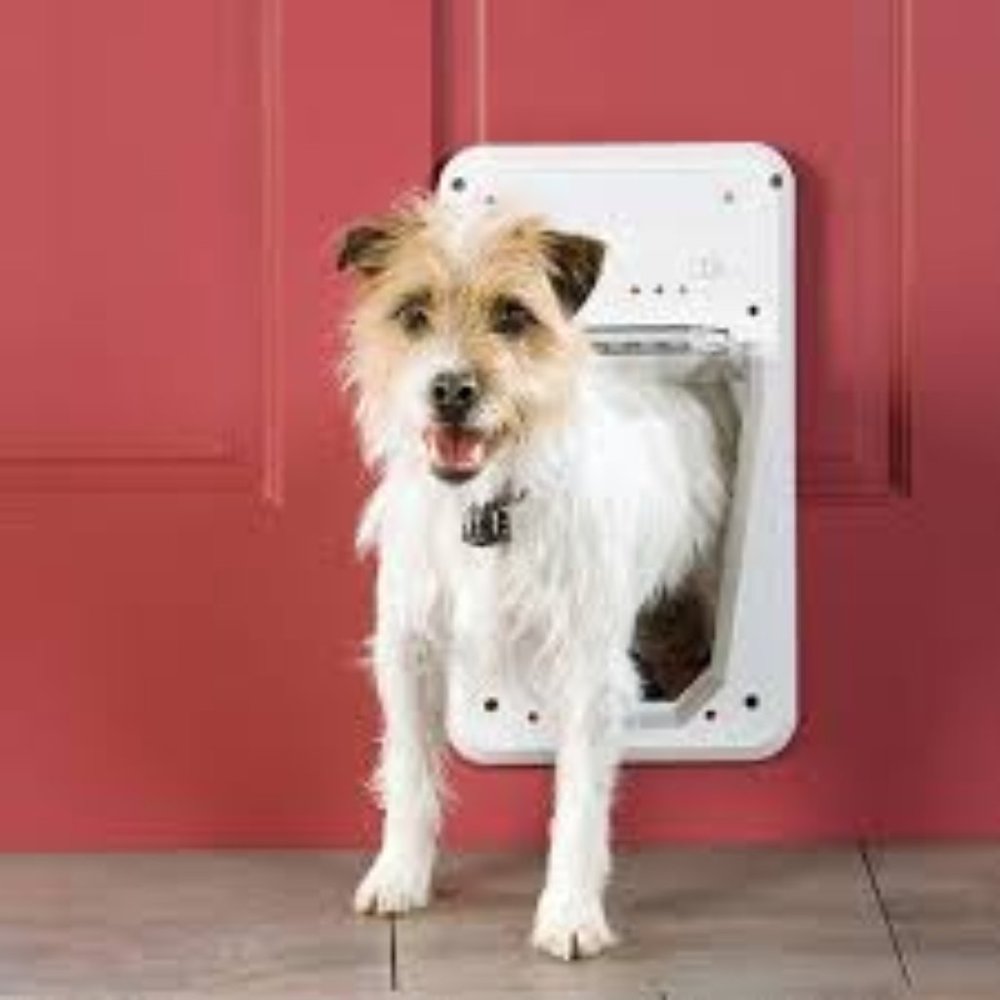 PetSafe Electronic SmartDoor - Collar Activated Dog and Cat Door - Small
